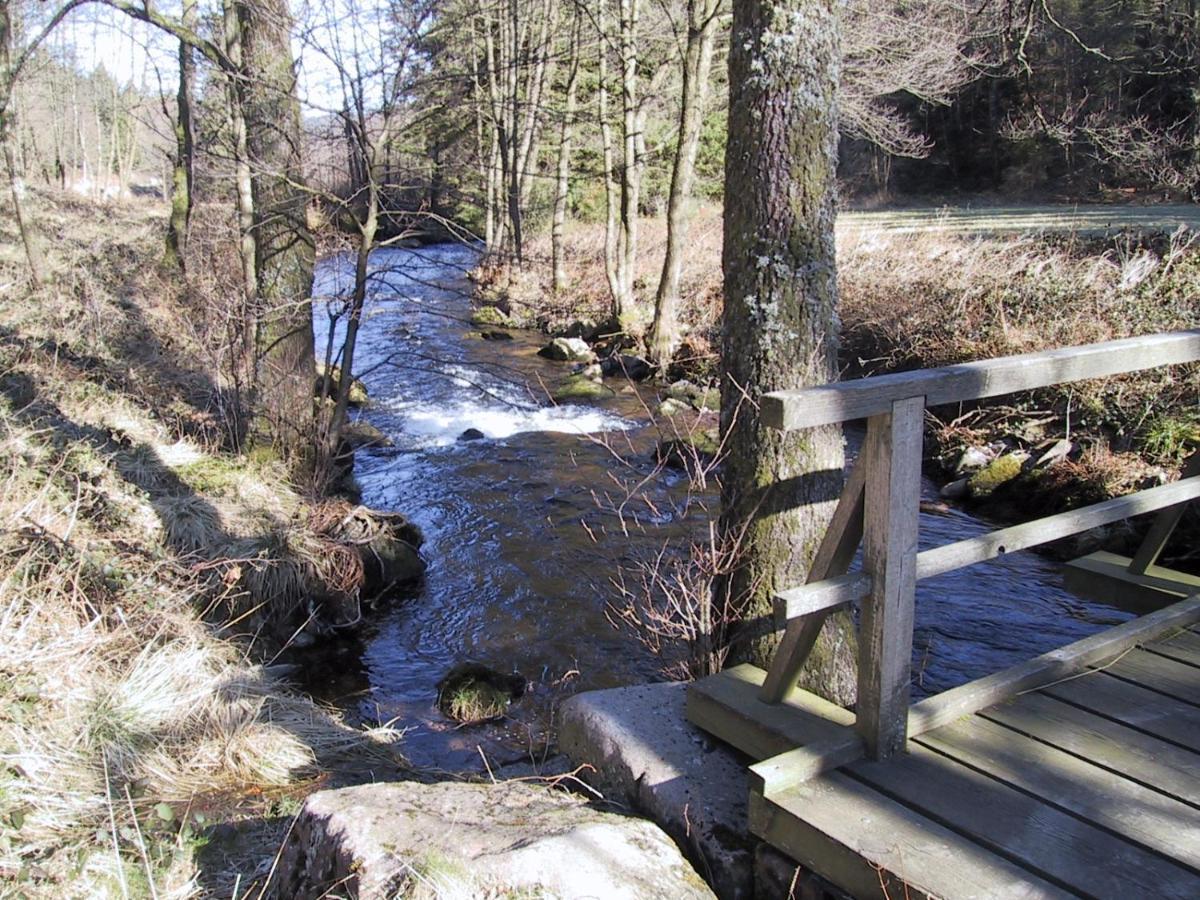 Ferienwohnung Kuckuck Auf Dem Sommerberg Incl Schwarzwaldcard Plus - 2 Zimmer 50Qm Bad Wildbad Exterior foto