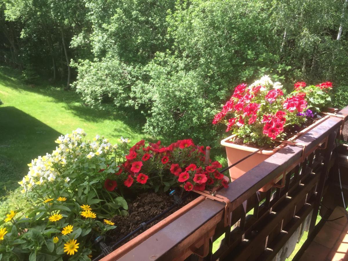 Ferienwohnung Kuckuck Auf Dem Sommerberg Incl Schwarzwaldcard Plus - 2 Zimmer 50Qm Bad Wildbad Exterior foto